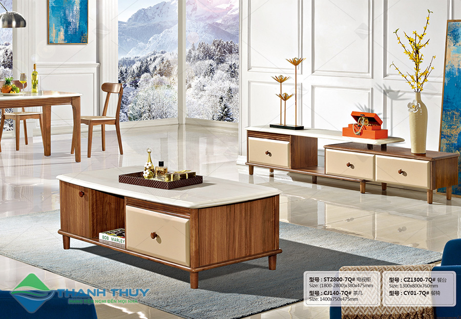 Bàn sofa TT005