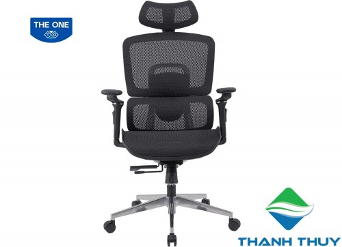 GHẾ CÔNG THÁI HỌC