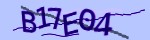 Verification
