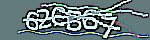 Verification