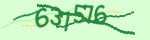 Verification