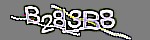 Verification