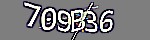 Verification