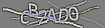 Verification