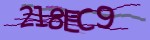 Verification