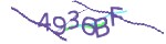 Verification