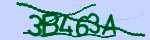 Verification