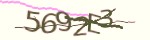Verification