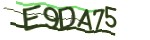 Verification