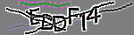 Verification