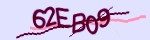 Verification