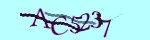Verification