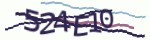 Verification