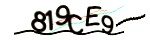 Verification