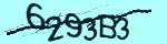 Verification