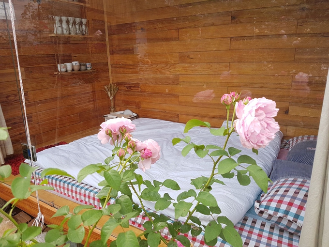 Gia đình Đà Lạt sống trong nhà gỗ giữa vườn hồng 1.000 m2