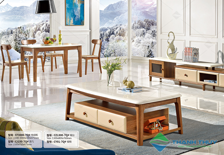 Bàn sofa TT003